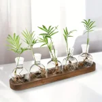 Série de pequenos vasos de vidro contendo plantas verdes, dispostos sobre uma tábua de madeira, decoração científica e natural para um ambiente moderno.