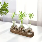 Trio de plantas verdes em pequenos vasos de vidro com água, apresentadas sobre uma tábua de madeira, decoração natural e moderna para interiores.