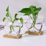 Duas plantas verdes em vasos de vidro redondos cheios de água, sobre bases de madeira, decorando um espaço moderno com estilo científico e natural.