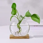 Planta verde em um vaso de vidro transparente cheio de água, com raízes visíveis, sobre uma base de madeira.