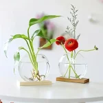 Dois vasos de vidro com plantas e flores, decoração científica moderna, design limpo, perfeito para um interior contemporâneo.