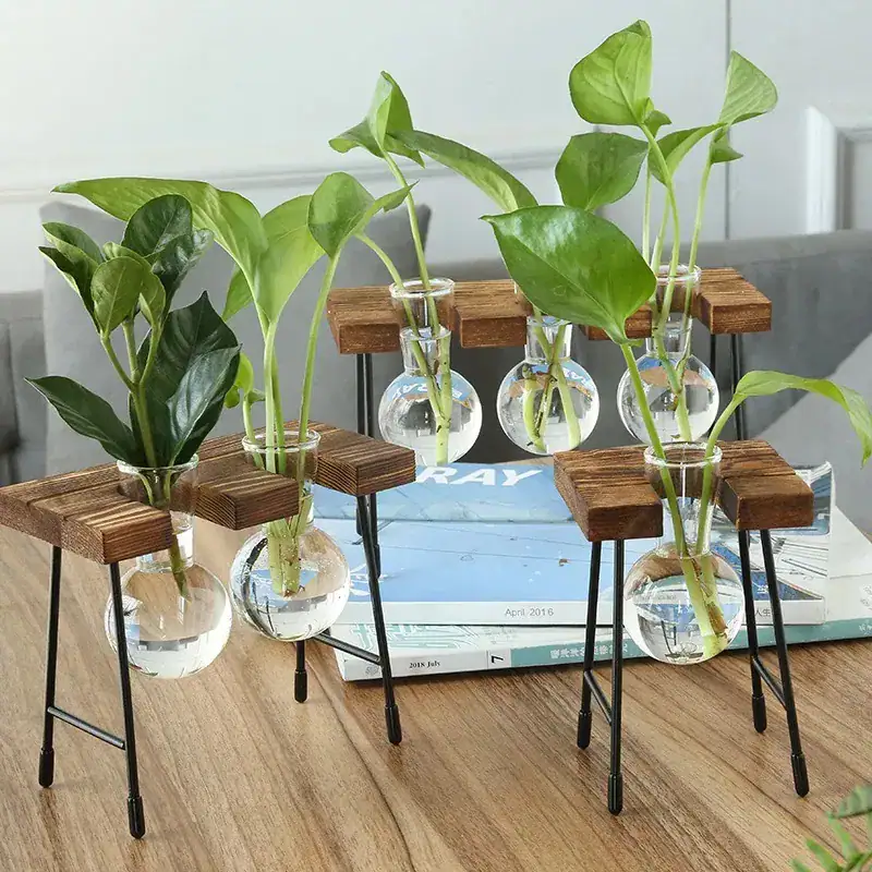 Vasos de vidro com plantas verdes sobre suporte de madeira e metal, decoração de estilo botânico para interior moderno.