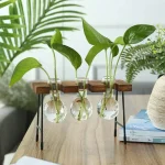 Conjunto de três plantas verdes em frascos de vidro suspensos, perfeitos para uma decoração interior moderna e natural. Ideal para trazer um toque de frescor ao seu espaço de vida.