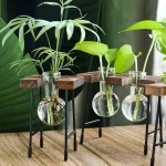 Coleção de vasos de vidro com plantas verdes, utilizando suportes de madeira e metal para uma decoração de estilo científico e moderno.