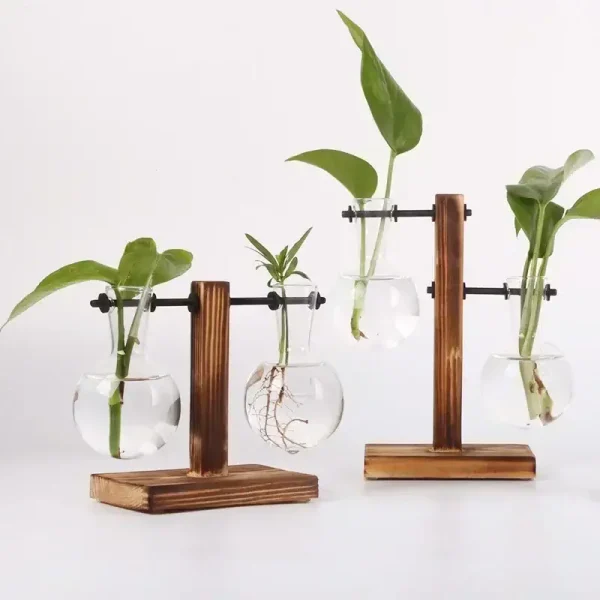 Varandas de plantas em frascos de vidro com suporte de madeira.