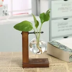 Vaso de vidro com planta verde flutuante, sustentado por uma estrutura de madeira, colocado sobre uma mesa com jornais e livro num ambiente interior iluminado.