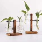 Vasos suspensos de vidro com suporte de madeira para plantas de interior, decoração botânica moderna e elegante, ideal para embelezar o seu espaço de vida ou de trabalho.