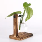 Vaso de vidro com planta verde num suporte de madeira, decoração de estilo científico e natural.