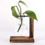Planta verde num vaso de vidro com suporte de madeira, decoração científica moderna. Ideal para um ambiente natural e educativo.