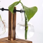 Planta verde num frasco de laboratório de vidro cheio de água, suspenso por um suporte de madeira, ilustrando uma decoração científica e natural.