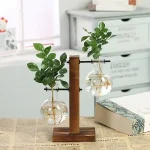 Duas plantas verdes em frascos de vidro suspensos num suporte de madeira, decoração moderna e natural para interiores.
