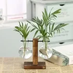 Acessório de decoração com plantas suspensas em balões de vidro.