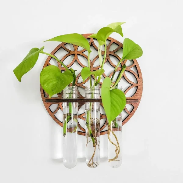 Planta verde em três tubos de ensaio de vidro fixados a um suporte de madeira com padrão geométrico, decoração científica e natural.