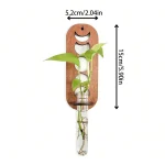 Suporte de madeira com planta trepadeira em um tubo de ensaio.