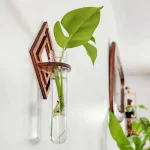 Planta verde em um vaso de vidro fixado na parede com um suporte de madeira, decoração interior moderna e natural.