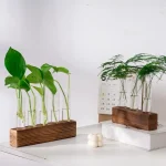 Dois conjuntos de plantas verdes em tubos de ensaio de vidro, fixados em suportes de madeira, criando uma decoração científica elegante.