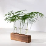 Vasos de vidro contendo ramos de folhagem verde, dispostos sobre uma base de madeira natural, decoração elegante e moderna para interior ou escritório.