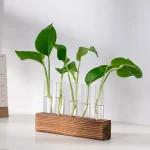Plantas verdes em tubos de ensaio de vidro fixados num suporte de madeira, ilustrando uma decoração científica natural e moderna.
