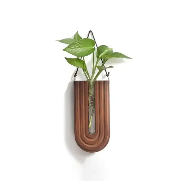 Vaso de parede em madeira com planta verde suspensa, decoração moderna e natural para interiores. Ideal para trazer um toque de verde e elegância ao seu espaço de vida ou trabalho.