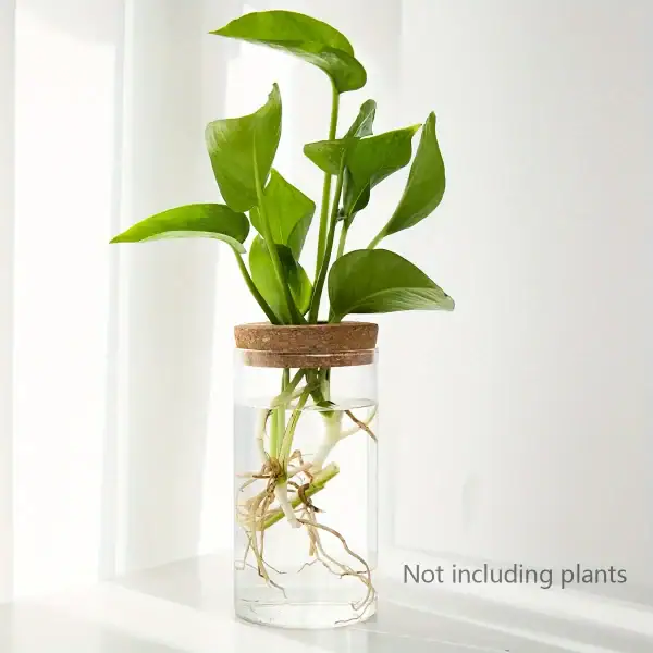 Planta verde em vaso de água com raízes visíveis, decoração natural e moderna para interiores.