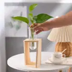 Vase en bois avec plante verte dans un laboratoire ou un espace de décoration moderne.