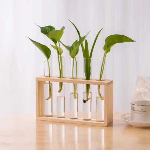 Vaso de tubos de ensaio com plantas verdes em um suporte de madeira, decoração científica moderna e natural.