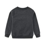 Camisola cinza para crianças em algodão orgânico, confortável e macia, ideal para o outono e inverno, com acabamento cuidadoso e estilo casual.