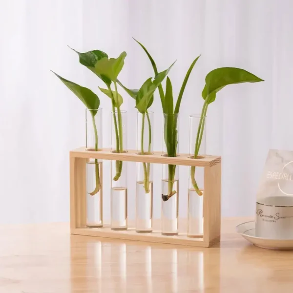 Plantas verdes em tubos de ensaio de vidro, apresentadas em um suporte de madeira natural, perfeitas para decoração científica ou educativa.
