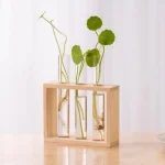 Conjunto de três plantas em vidros com raízes visíveis, apresentadas em uma moldura de madeira, decoração natural e moderna.