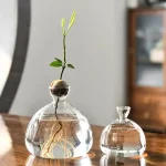 Jovem planta em crescimento em um frasco de vidro transparente, representando a natureza, a vida e a ecologia, perfeito para decoração científica ou educativa.