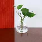 Vaso de vidro transparente com uma planta verde de folhas largas, colocado sobre uma superfície de madeira clara, com um fundo branco e uma estrutura vermelha com listras.