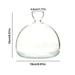 Pipeta de vidro transparente, ideal para decoração científica ou como objeto de coleção. Dimensões: 15 cm de largura, 15,5 cm de altura, abertura de 4,5 cm.