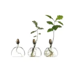 Lâmpadas de vidro com jovens plantas em crescimento, simbolizando a ciência e a natureza.