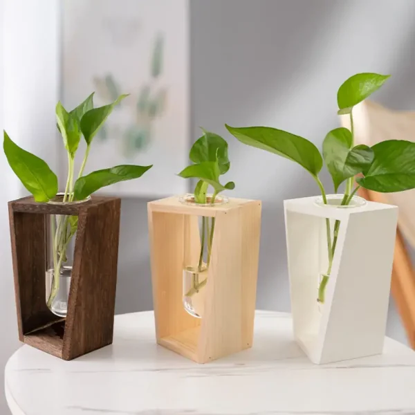 Três plantas verdes em suportes de madeira de diferentes cores (castanho, natural, branco) sobre uma superfície branca, decoração interior elegante e natural.