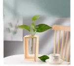 Vaso de madeira com uma planta verde em um interior moderno, decoração natural e elegante para a casa ou escritório.