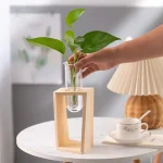Vaso de madeira com planta verde num laboratório ou num espaço de decoração moderna.