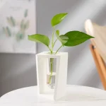 Vaso em forma de tubo científico com uma planta verde de folhas largas, decoração moderna e original para um interior elegante.