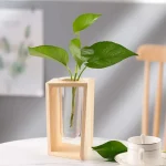Vaso de madeira com uma planta verde de folhas largas num interior moderno, decoração natural e elegante.