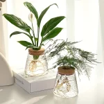 Plantas em vidro decorativas para interior, perfeitas para decoração de casa ou escritório, trazendo um toque natural e elegante ao seu espaço.