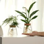 Plantas em vidro científico decorativo com raízes visíveis, perfeitas para uma decoração interior elegante e moderna.