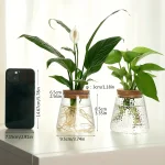 Duas plantas verdes em vaso de vidro, decoração moderna para interior, com um smartphone ao lado para escala.