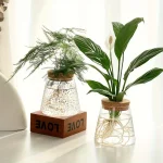Duas plantas em vasos de laboratório com raízes visíveis, decoração científica e natural, sobre uma superfície branca com um fundo iluminado.