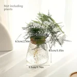 Vaso de vidro transparente com planta suspensa decorativa.