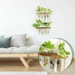 Decoração interior com plantas em frascos suspensos, trazendo um toque natural e moderno ao ambiente. Ideal para um interior moderno e ecológico.