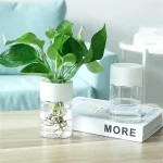 Vaso transparente com planta verde e copo de água sobre uma mesa de madeira, decoração moderna e natural para interiores.