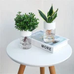 Plantas de interior em vasos de vidro com raízes aparentes, decoração moderna e natural. Ideal para uma decoração científica ou botânica, trazendo frescor e originalidade ao seu espaço.