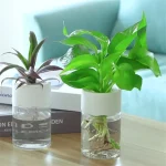 Dois pequenos garças de água em vidro contendo plantas verdes e violetas, decorativos para casa ou escritório, trazendo um toque de natureza e ciência.