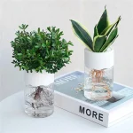 Duas plantas em vaso com raízes visíveis na água, decoração científica moderna, plantas de interior, estilo minimalista, ambiente natural e fresco.