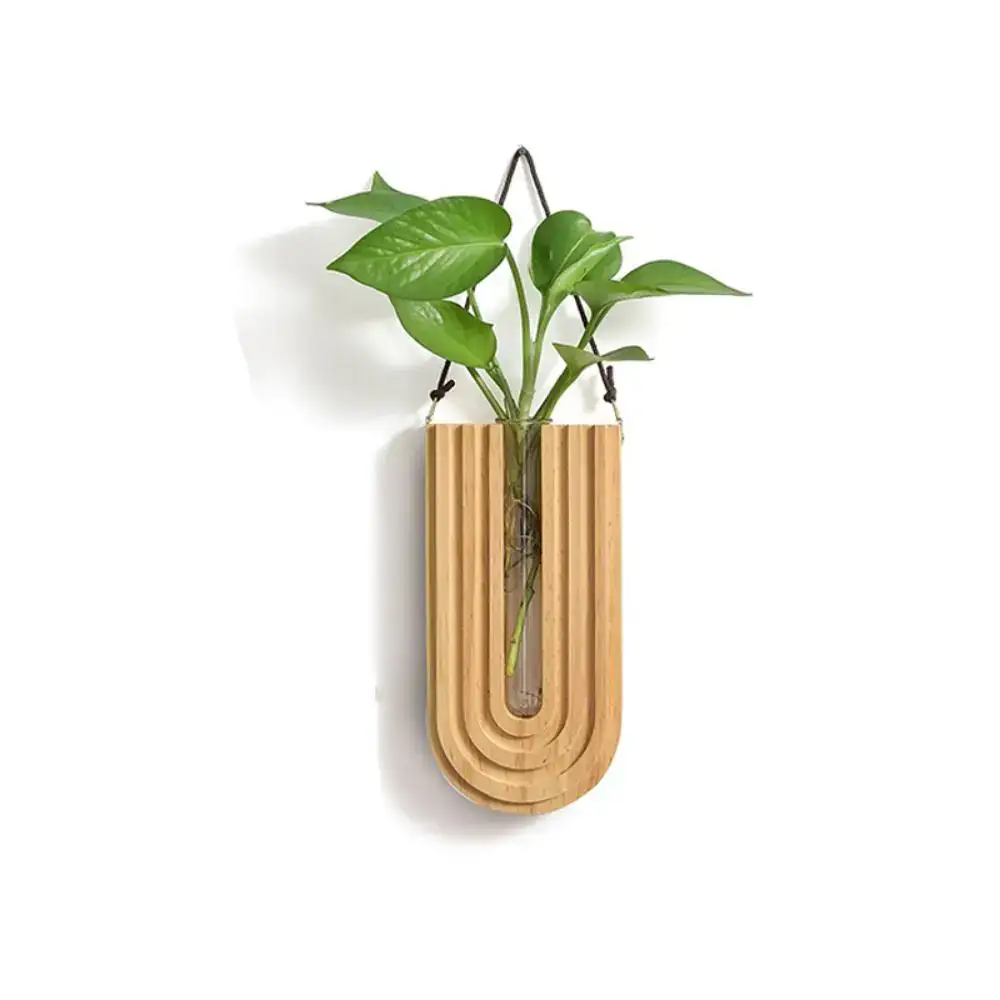 Planta verde suspensa em suporte de madeira design, perfeito para decoração interior com um toque científico e moderno.