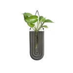 Planta verde suspensa em vaso em forma de tubo científico, decoração original para um interior inspirado na ciência e na natureza.